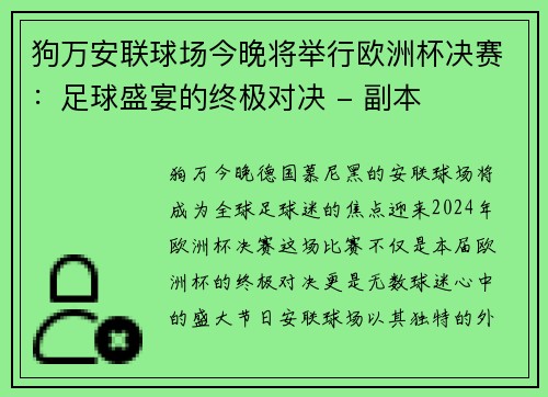 狗万安联球场今晚将举行欧洲杯决赛：足球盛宴的终极对决 - 副本