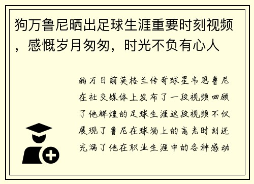 狗万鲁尼晒出足球生涯重要时刻视频，感慨岁月匆匆，时光不负有心人