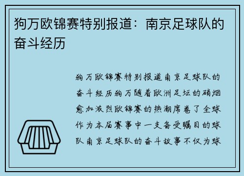狗万欧锦赛特别报道：南京足球队的奋斗经历